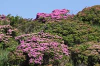 IMG_5042
