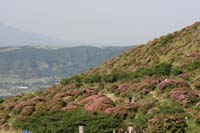 IMG_5045