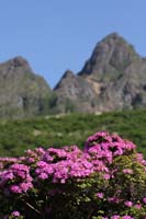 IMG_5053