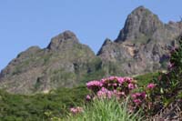 IMG_5056