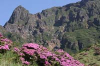 IMG_5070