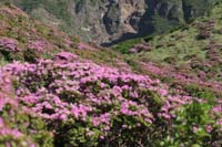 IMG_5072