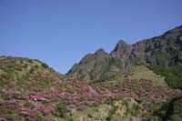 IMG_5073