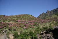 IMG_5077