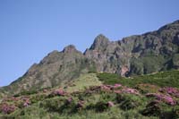 IMG_5080