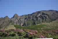 IMG_5084